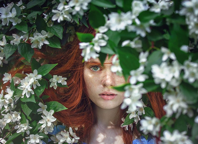 Whimsical Botany