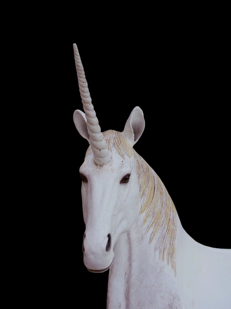 Unicorn Meadow